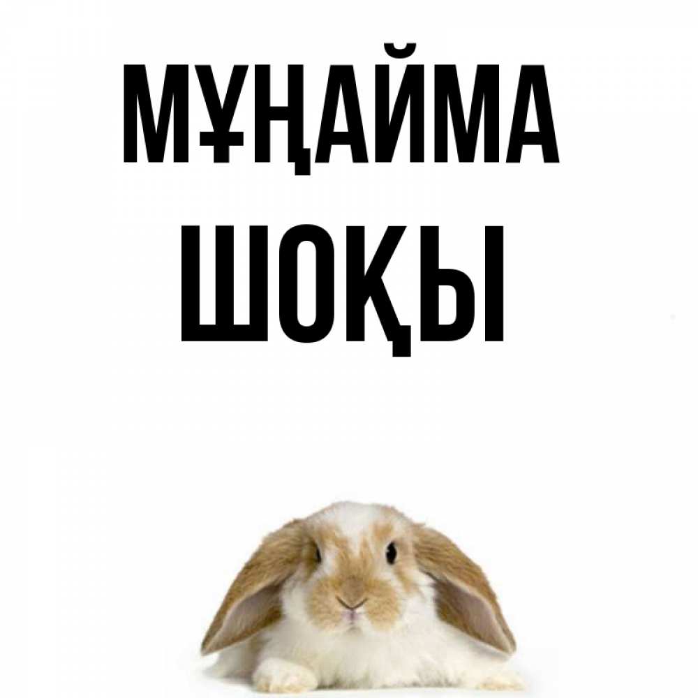 Күн сайын ашық хат с именем, ШОҚЫ Мұңайма коричнево белый заяц с большими ушками Онлайн тегін жүктеп алу тілектері бар керемет карта 
