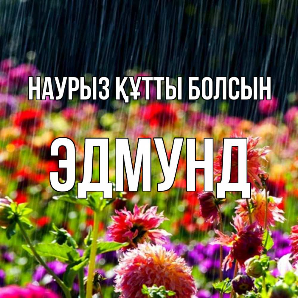 Күн сайын ашық хат с именем, Эдмунд Наурыз құтты болсын цветы под дождиком к наурызу Онлайн тегін жүктеп алу тілектері бар керемет карта 