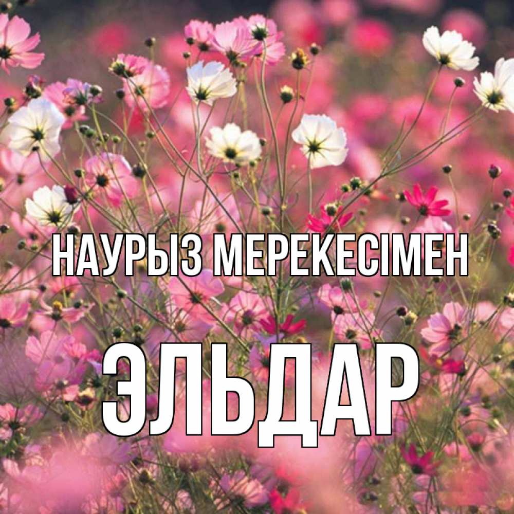 Күн сайын ашық хат с именем, Эльдар Наурыз мерекесімен красиво 1 Онлайн тегін жүктеп алу тілектері бар керемет карта 
