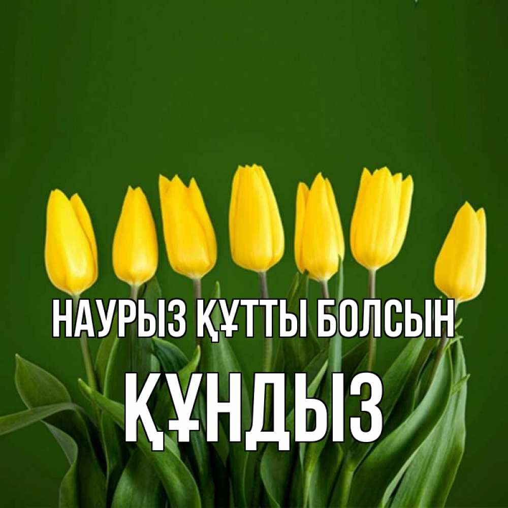 Күн сайын ашық хат с именем, ҚҰНДЫЗ Наурыз құтты болсын желтого цвета 3 Онлайн тегін жүктеп алу тілектері бар керемет карта 