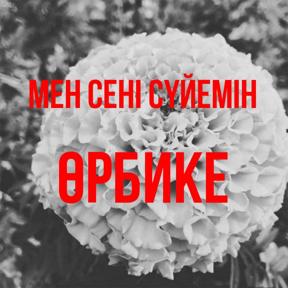 Күн сайын ашық хат с именем, ӨРБИКЕ Мен сені сүйемін подпись Онлайн тегін жүктеп алу тілектері бар керемет карта 
