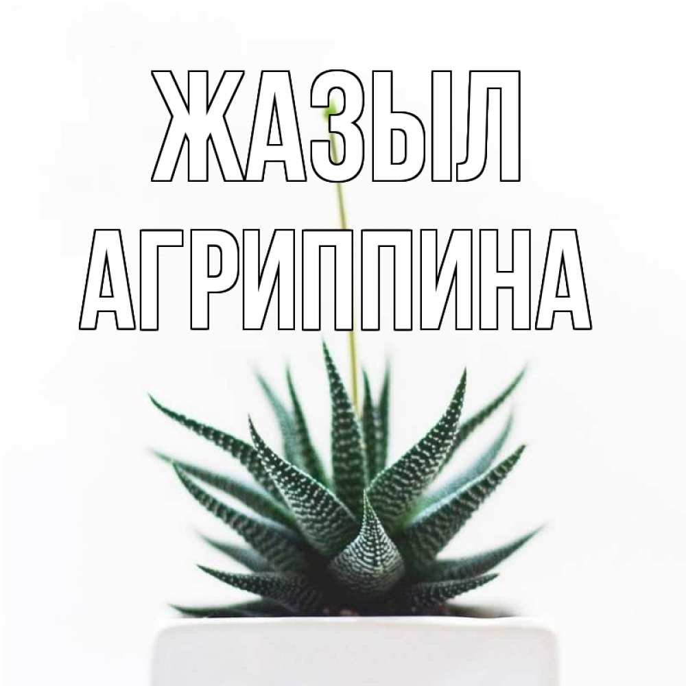 Күн сайын ашық хат с именем, Агриппина Жазыл короче это непонятная колючка Онлайн тегін жүктеп алу тілектері бар керемет карта 
