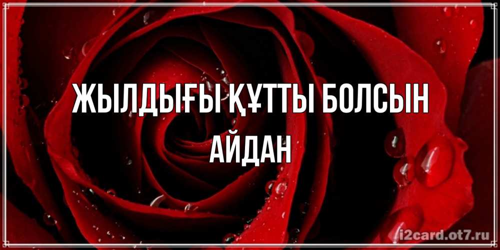Күн сайын ашық хат с именем, Айдан Жылдығы құтты болсын крупная бордовая роза Онлайн тегін жүктеп алу тілектері бар керемет карта 