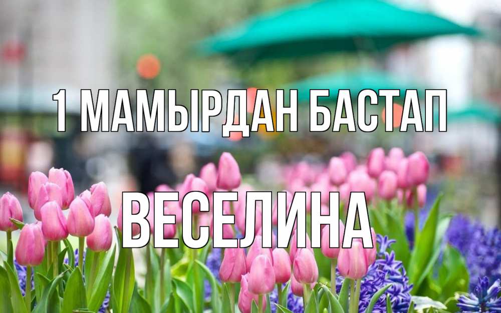 Күн сайын ашық хат с именем, Веселина 1 мамырдан бастап С 1 мая Онлайн тегін жүктеп алу тілектері бар керемет карта 