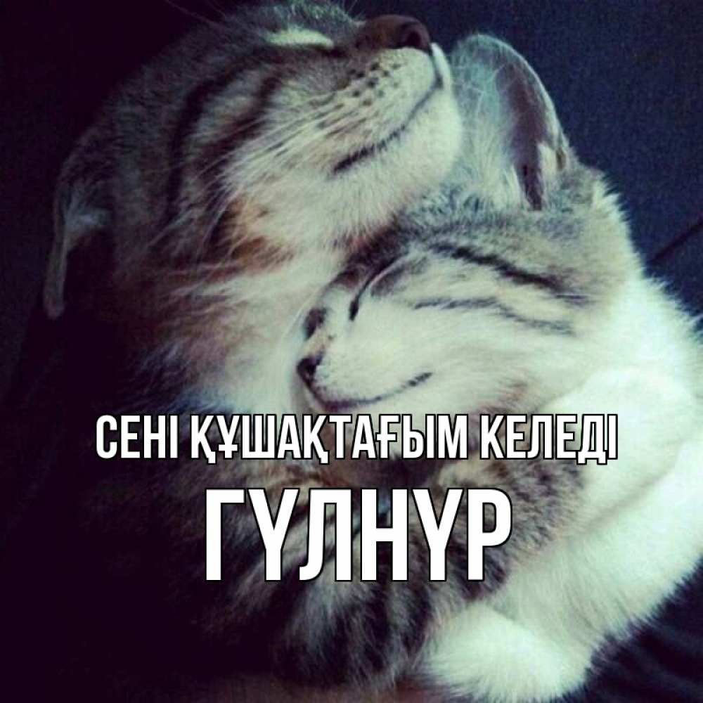 Күн сайын ашық хат с именем, ГҮЛНҮР сені құшақтағым келеді полосатики Онлайн тегін жүктеп алу тілектері бар керемет карта 