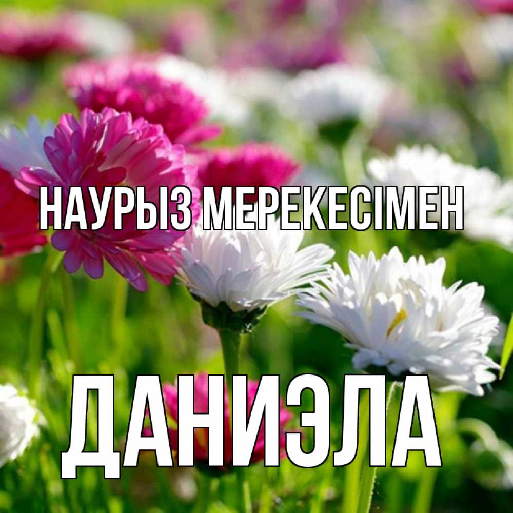 Күн сайын ашық хат с именем, Даниэла Наурыз мерекесімен праздник весны наурыз красота Онлайн тегін жүктеп алу тілектері бар керемет карта 