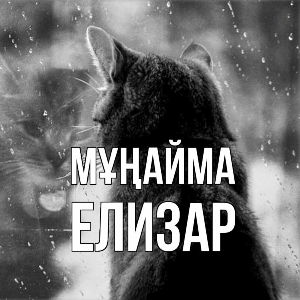 Күн сайын ашық хат с именем, Елизар Мұңайма отражение кота 1 Онлайн тегін жүктеп алу тілектері бар керемет карта 