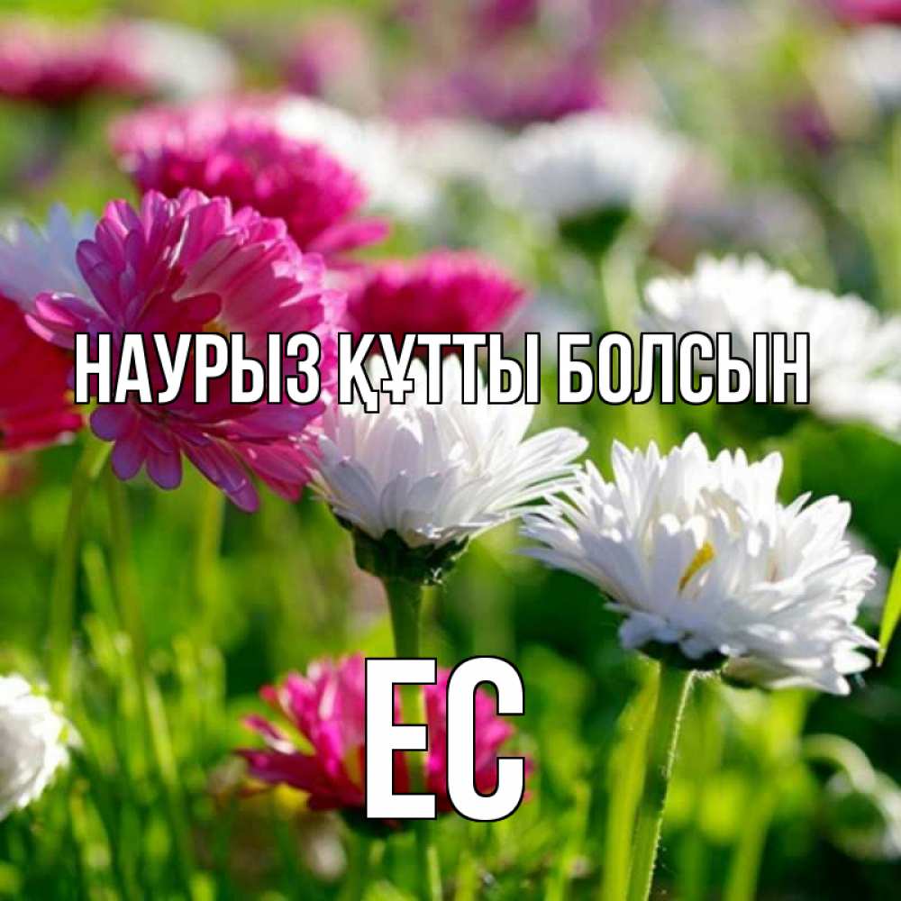 Күн сайын ашық хат с именем, Ес Наурыз құтты болсын наурыз Онлайн тегін жүктеп алу тілектері бар керемет карта 