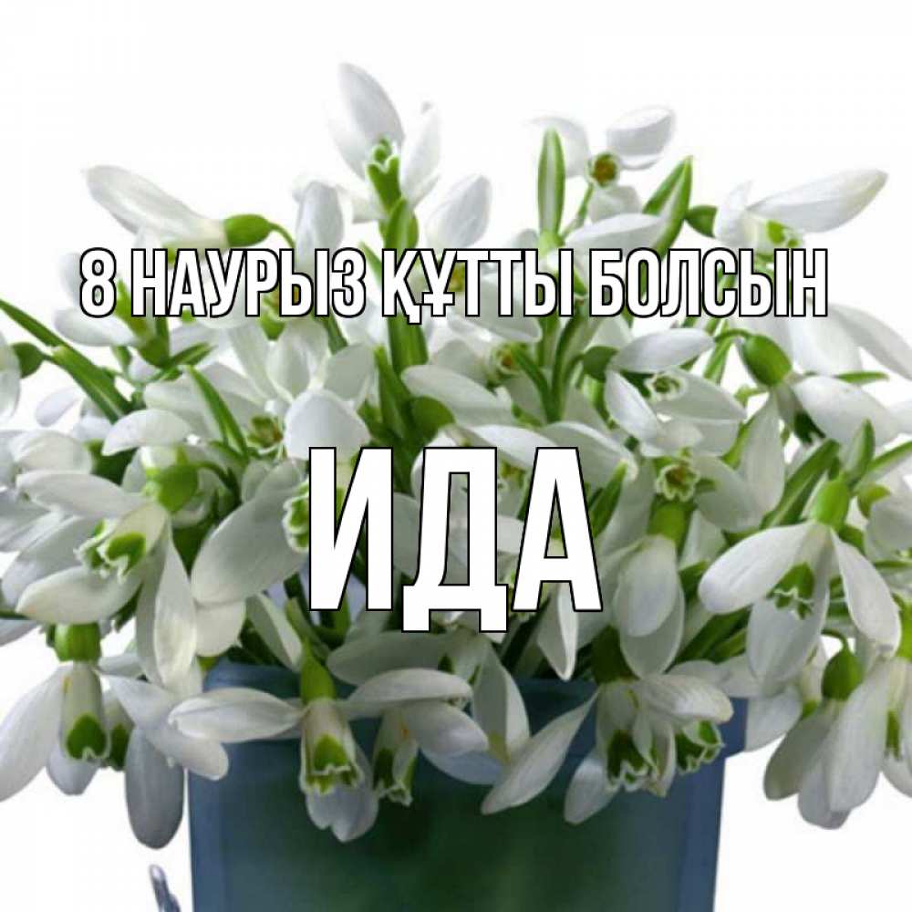 Күн сайын ашық хат с именем, Ида 8 наурыз құтты болсын цветы к международному женскому дню Онлайн тегін жүктеп алу тілектері бар керемет карта 