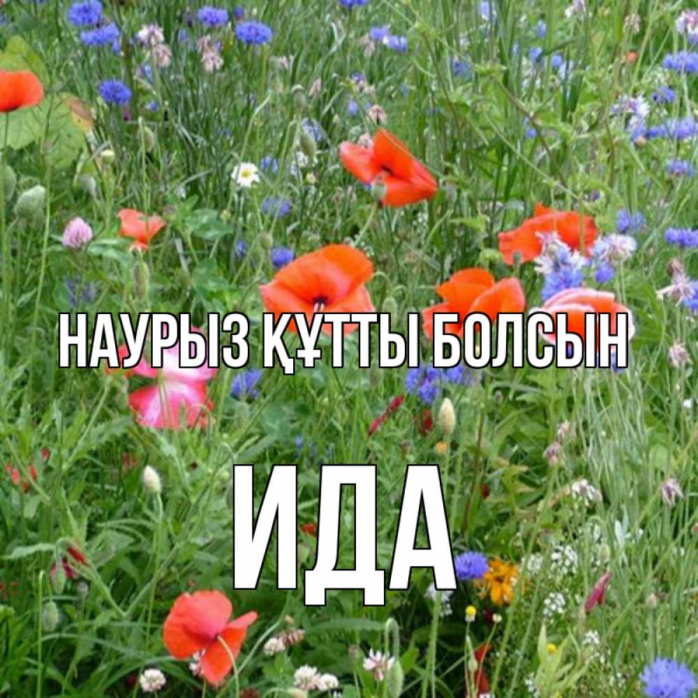 Күн сайын ашық хат с именем, Ида Наурыз құтты болсын наурыз  4 Онлайн тегін жүктеп алу тілектері бар керемет карта 