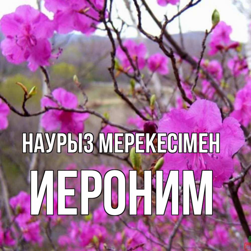 Күн сайын ашық хат с именем, Иероним Наурыз мерекесімен праздник весны наурыз Онлайн тегін жүктеп алу тілектері бар керемет карта 