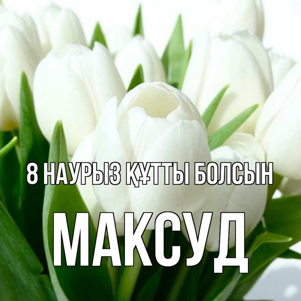 Күн сайын ашық хат с именем, Максуд 8 наурыз құтты болсын цветы Онлайн тегін жүктеп алу тілектері бар керемет карта 