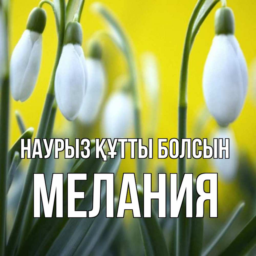Күн сайын ашық хат с именем, Мелания Наурыз құтты болсын весенние цветы Онлайн тегін жүктеп алу тілектері бар керемет карта 