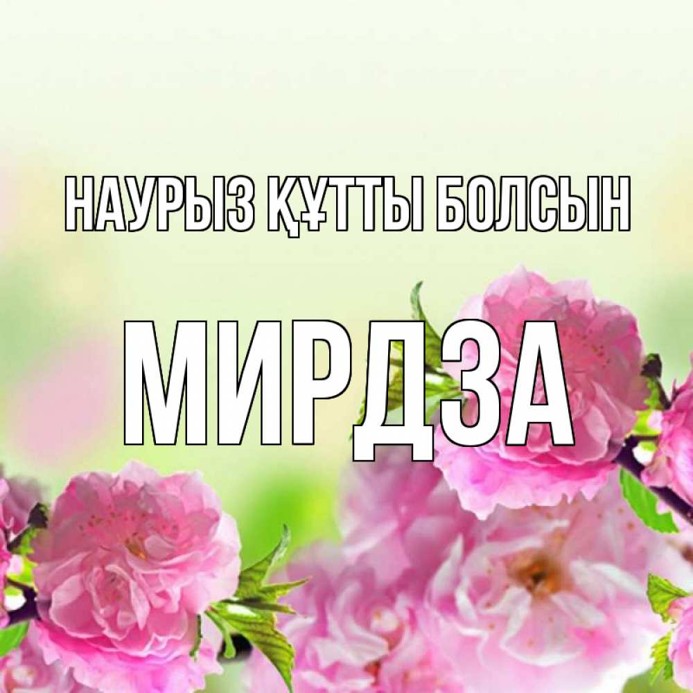 Күн сайын ашық хат с именем, Мирдза Наурыз құтты болсын цветы Онлайн тегін жүктеп алу тілектері бар керемет карта 
