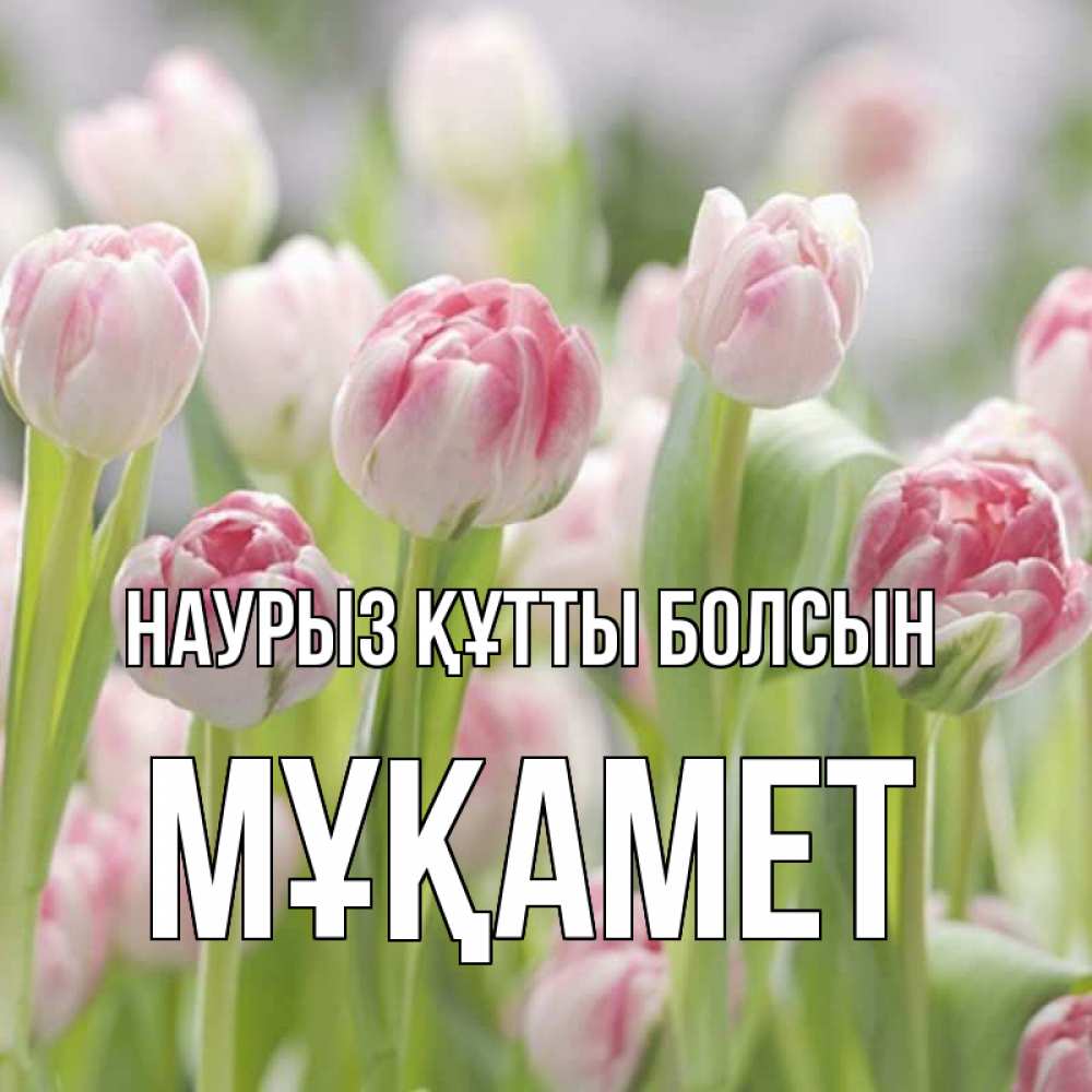 Күн сайын ашық хат с именем, МҰҚАМЕТ Наурыз құтты болсын цветы Онлайн тегін жүктеп алу тілектері бар керемет карта 