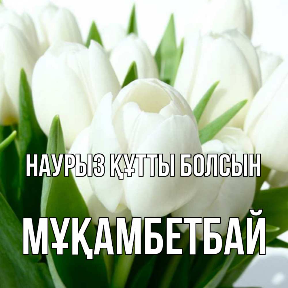 Күн сайын ашық хат с именем, Мұқамбетбай Наурыз құтты болсын цветы Онлайн тегін жүктеп алу тілектері бар керемет карта 