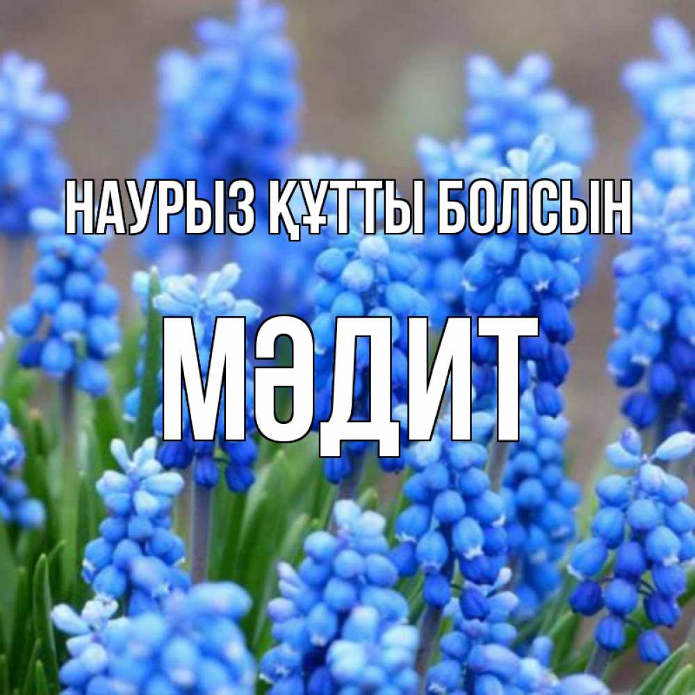 Күн сайын ашық хат с именем, МӘДИТ Наурыз құтты болсын Поздравительная открытка для женщин с цветами на праздничную дату Онлайн тегін жүктеп алу тілектері бар керемет карта 