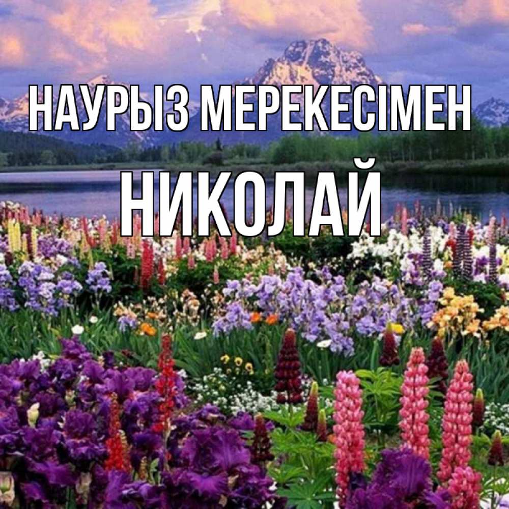 Күн сайын ашық хат с именем, Николай Наурыз мерекесімен праздник весны наурыз Онлайн тегін жүктеп алу тілектері бар керемет карта 