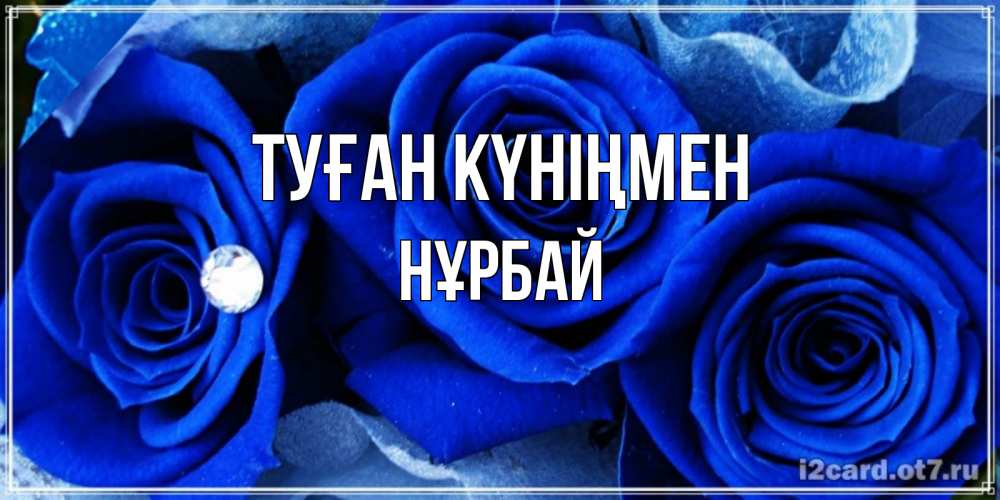 Күн сайын ашық хат с именем, НҰРБАЙ Туған күніңмен синие розы в росе Онлайн тегін жүктеп алу тілектері бар керемет карта 