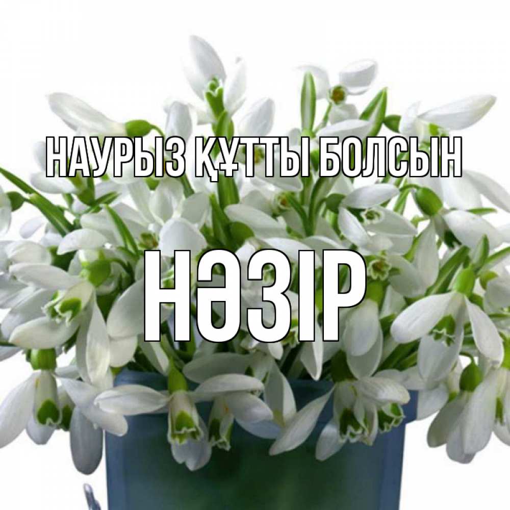 Күн сайын ашық хат с именем, НӘЗІР Наурыз құтты болсын цветы к наурызу Онлайн тегін жүктеп алу тілектері бар керемет карта 