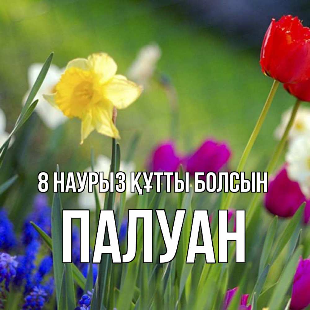 Күн сайын ашық хат с именем, ПАЛУАН 8 наурыз құтты болсын международный женский день 3 Онлайн тегін жүктеп алу тілектері бар керемет карта 