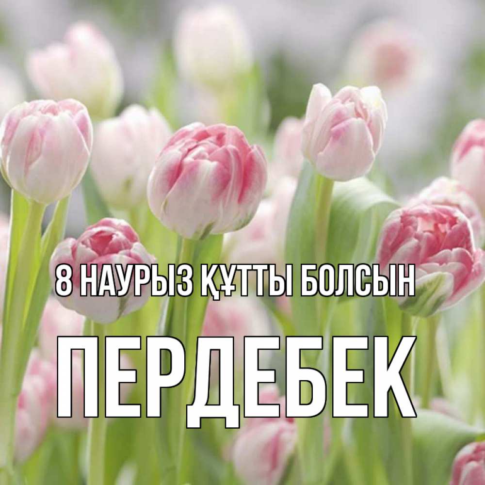 Күн сайын ашық хат с именем, ПЕРДЕБЕК 8 наурыз құтты болсын цветы Онлайн тегін жүктеп алу тілектері бар керемет карта 