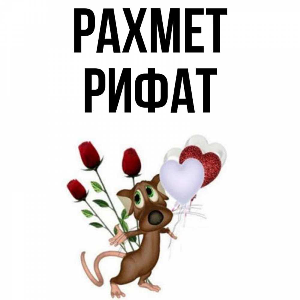 Күн сайын ашық хат с именем, Рифат рахмет песик с шариками в форме сердец Онлайн тегін жүктеп алу тілектері бар керемет карта 