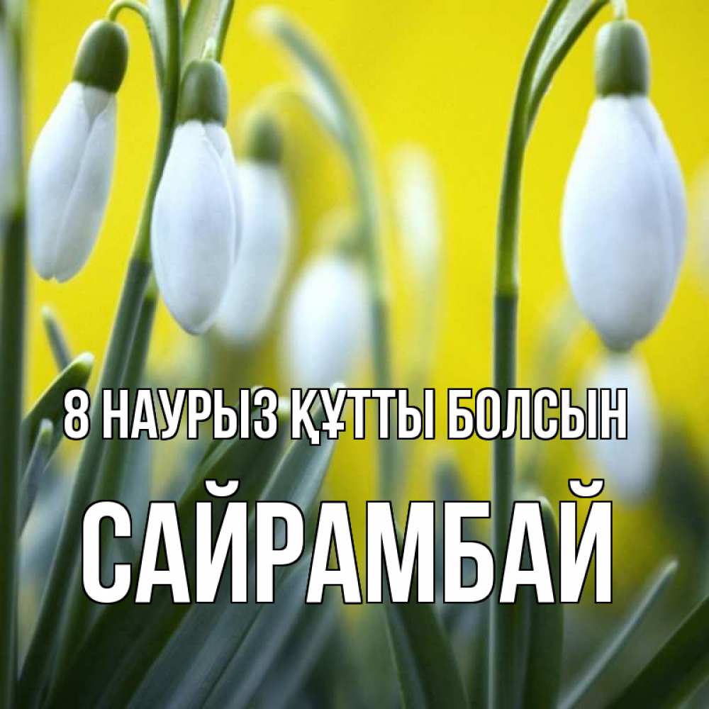 Күн сайын ашық хат с именем, САЙРАМБАЙ 8 наурыз құтты болсын весенние цветы Онлайн тегін жүктеп алу тілектері бар керемет карта 