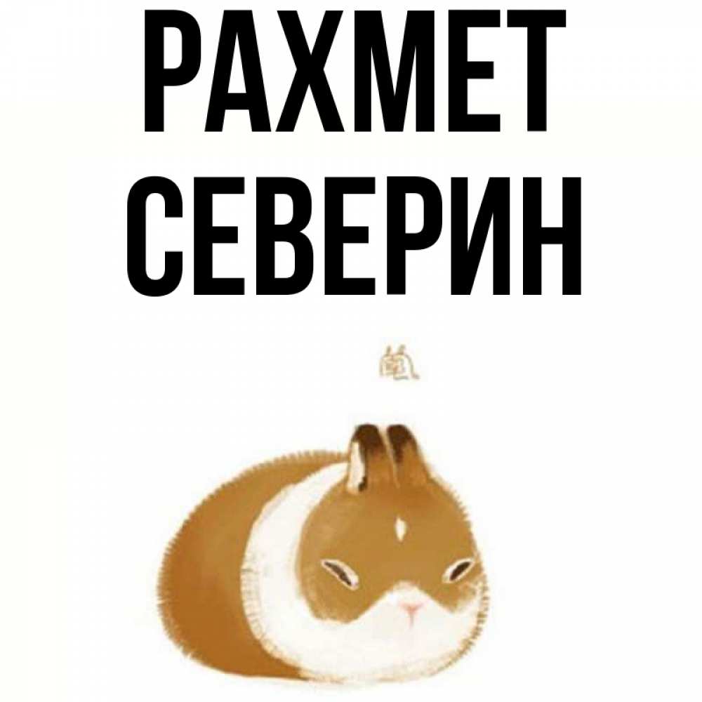 Күн сайын ашық хат с именем, Северин рахмет коричнево белый домашний питомец Онлайн тегін жүктеп алу тілектері бар керемет карта 