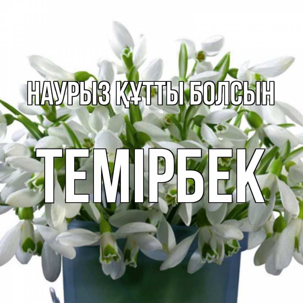 Күн сайын ашық хат с именем, ТЕМІРБЕК Наурыз құтты болсын цветы к наурызу Онлайн тегін жүктеп алу тілектері бар керемет карта 