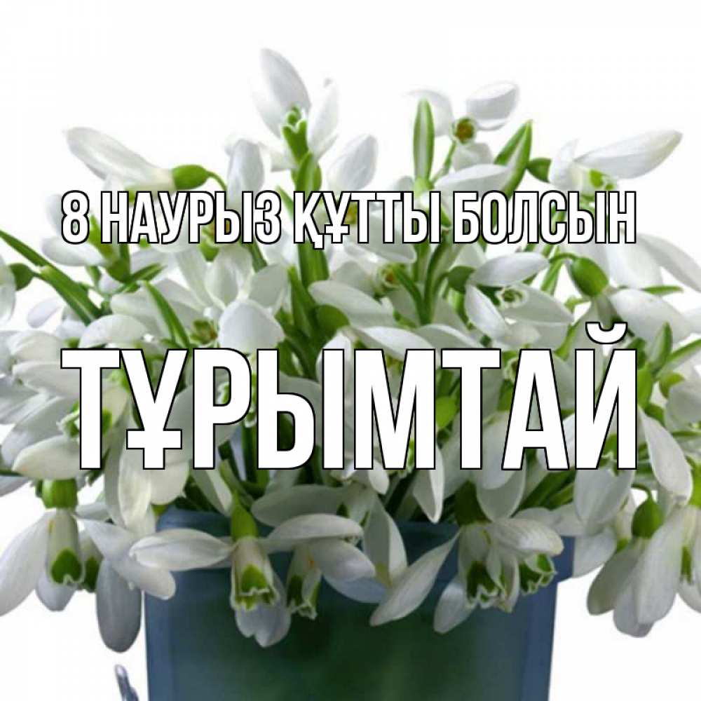 Күн сайын ашық хат с именем, ТҰРЫМТАЙ 8 наурыз құтты болсын цветы к международному женскому дню Онлайн тегін жүктеп алу тілектері бар керемет карта 