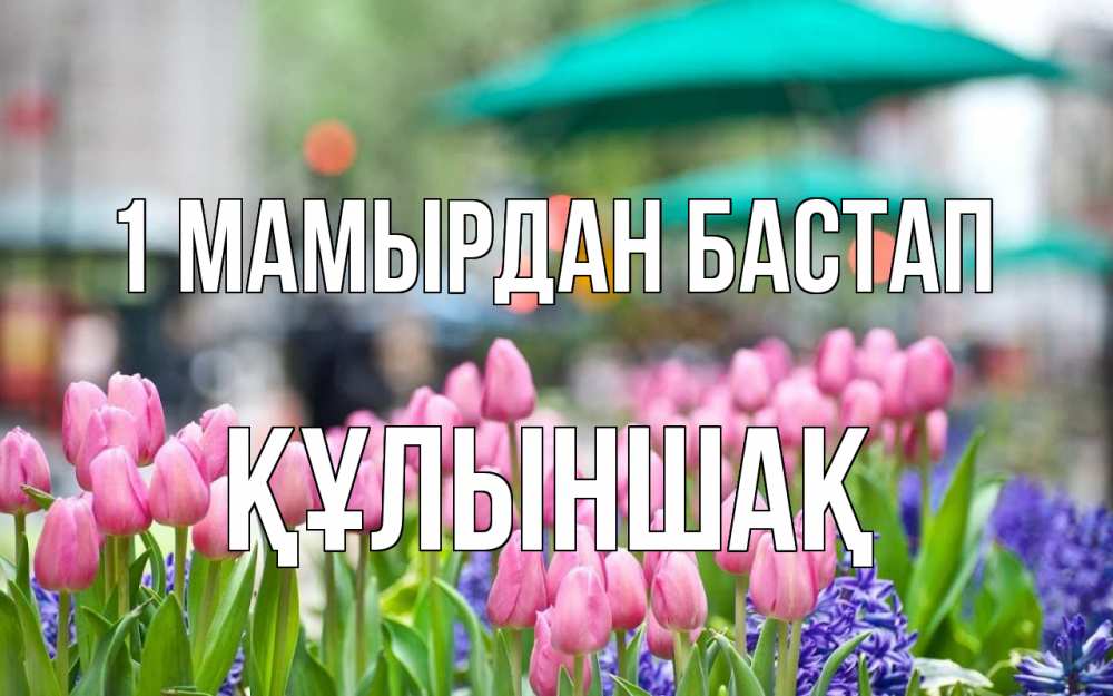 Күн сайын ашық хат с именем, ҚҰЛЫНШАҚ 1 мамырдан бастап С 1 мая Онлайн тегін жүктеп алу тілектері бар керемет карта 