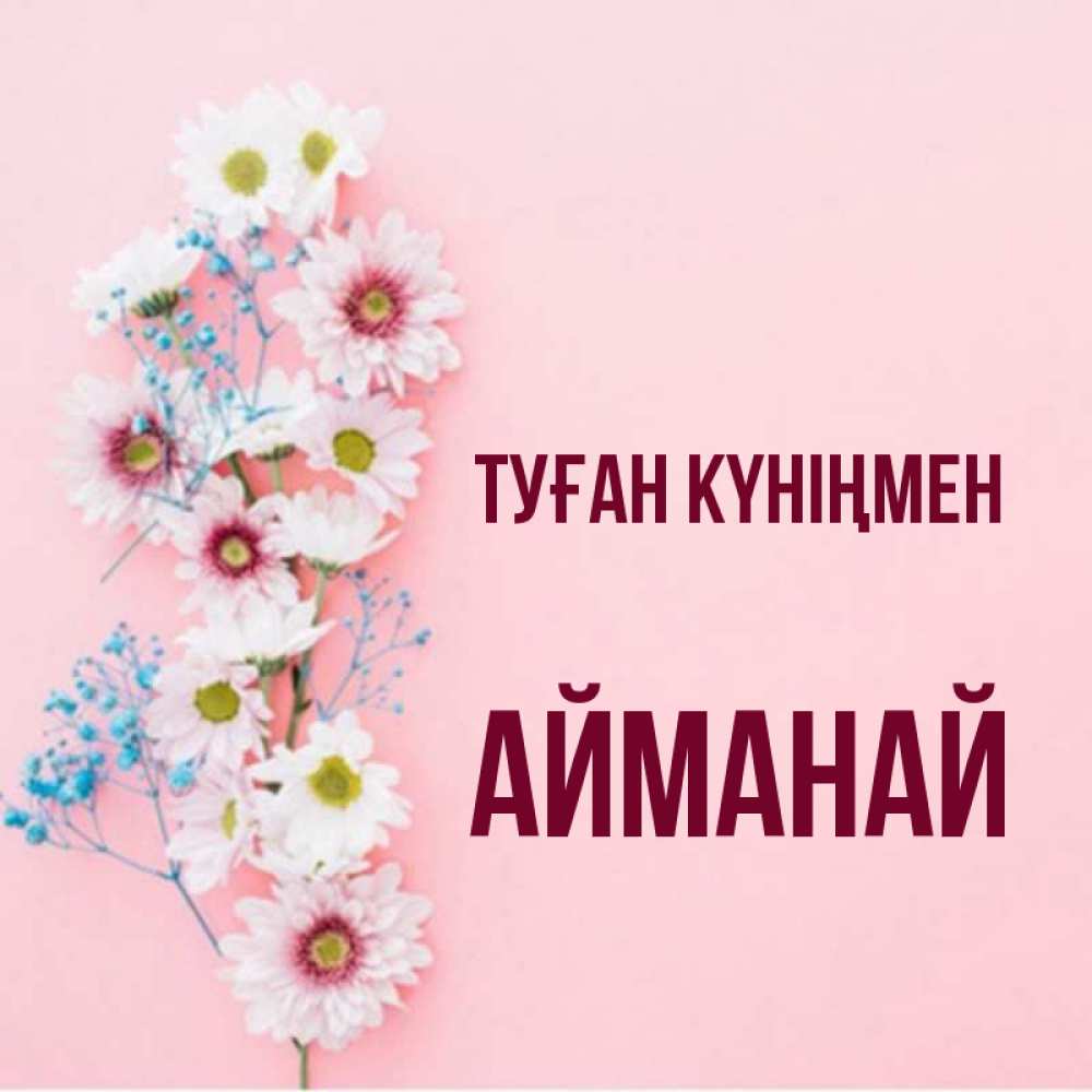 Күн сайын ашық хат с именем, Айманай Туған күніңмен Родная моя с днем рождения тебя картинка с цветами белыми и голубыми Онлайн тегін жүктеп алу тілектері бар керемет карта 