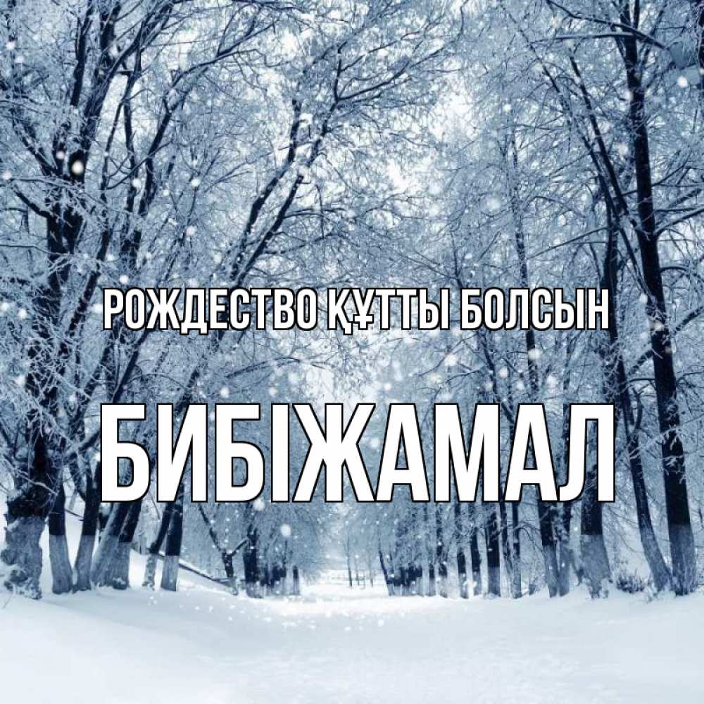 Күн сайын ашық хат с именем, БИБІЖАМАЛ Рождество құтты болсын снег, лес, парк Онлайн тегін жүктеп алу тілектері бар керемет карта 