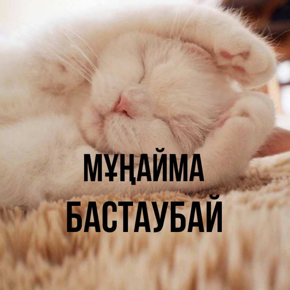 Күн сайын ашық хат с именем, Бастаубай Мұңайма Котенок спит Онлайн тегін жүктеп алу тілектері бар керемет карта 