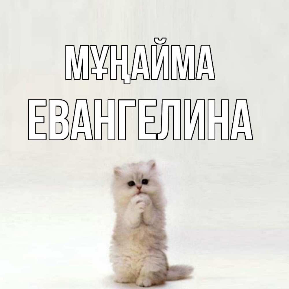 Күн сайын ашық хат с именем, Евангелина Мұңайма грустный кот Онлайн тегін жүктеп алу тілектері бар керемет карта 