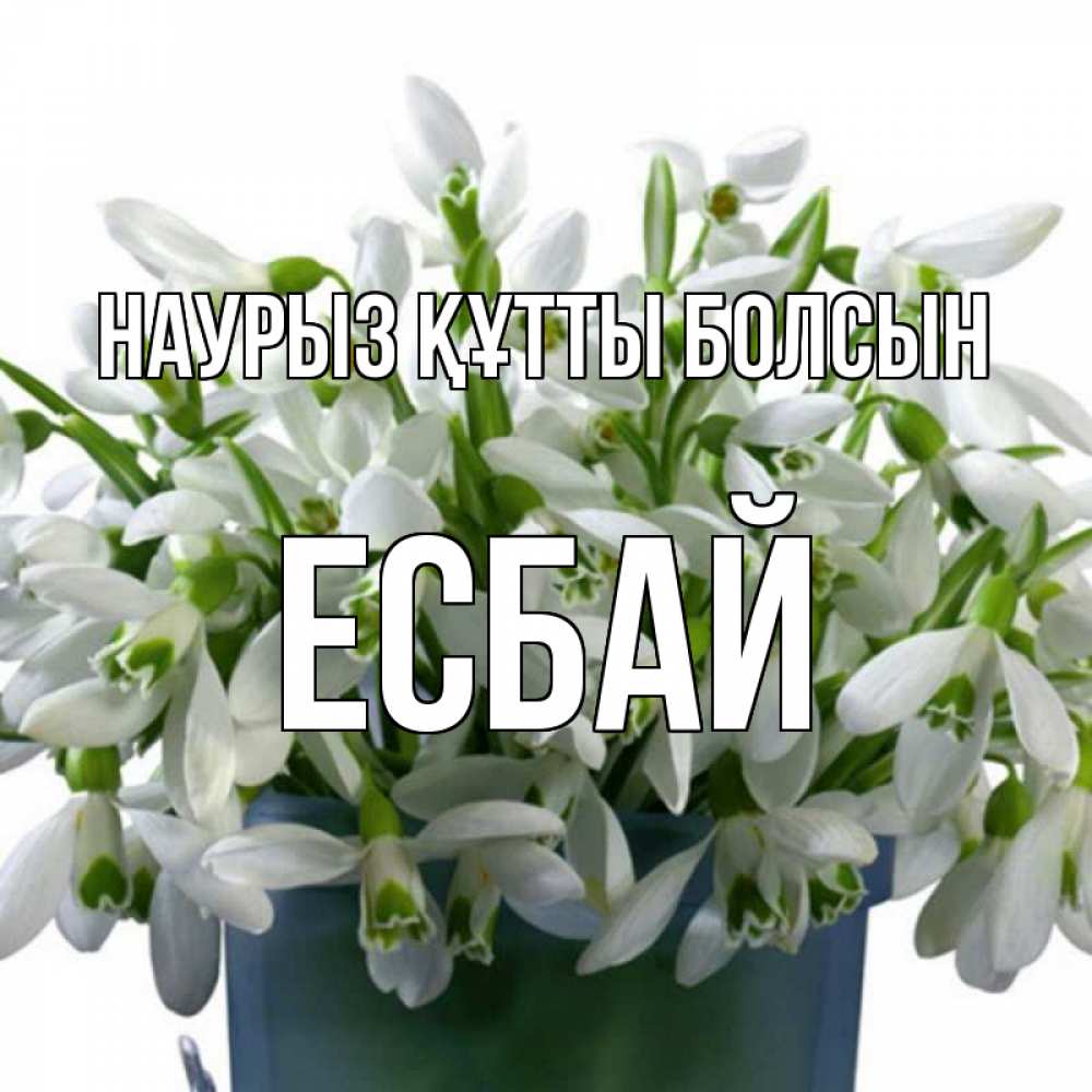 Күн сайын ашық хат с именем, Есбай Наурыз құтты болсын цветы к наурызу Онлайн тегін жүктеп алу тілектері бар керемет карта 