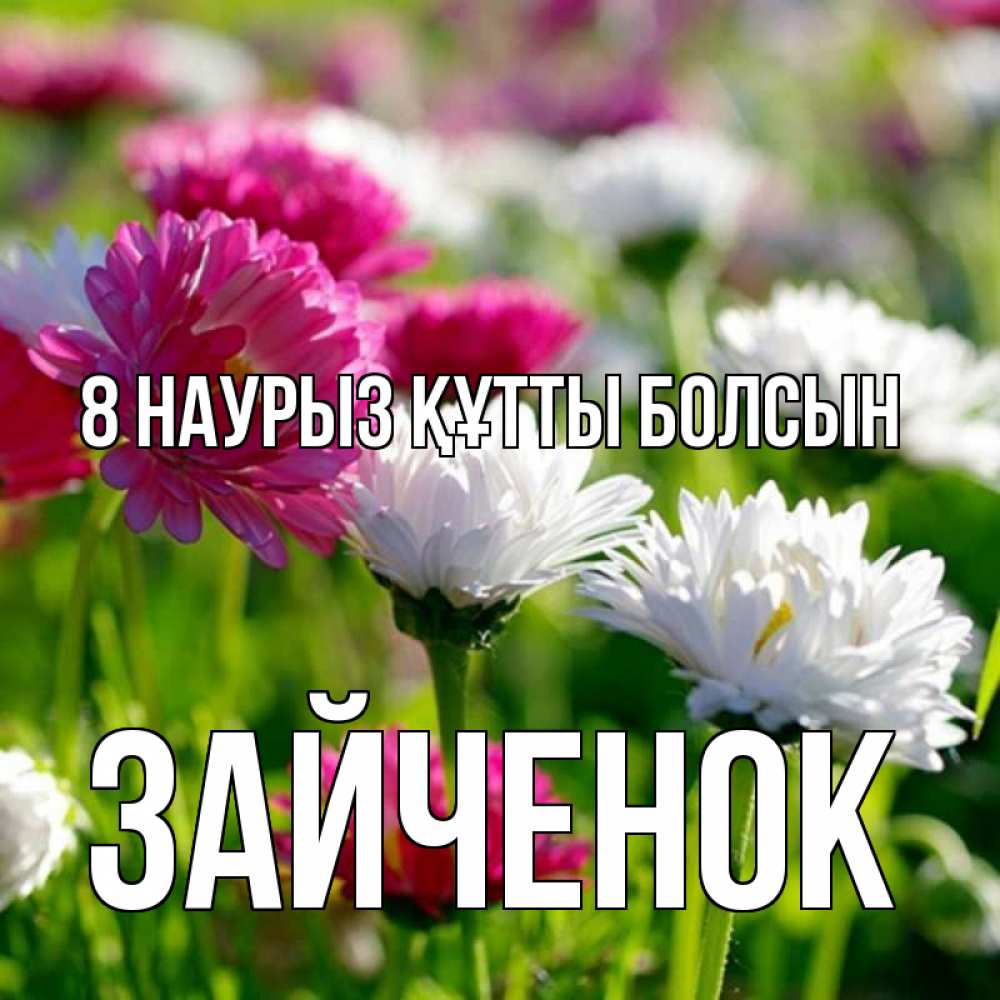 Күн сайын ашық хат с именем, Зайченок 8 наурыз құтты болсын международный женский день 1 Онлайн тегін жүктеп алу тілектері бар керемет карта 