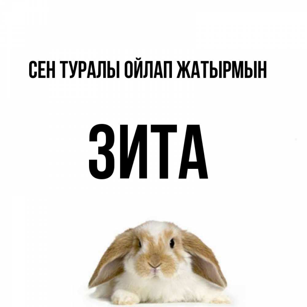 Күн сайын ашық хат с именем, Зита Сен туралы ойлап жатырмын подписать своими руками онлайн Онлайн тегін жүктеп алу тілектері бар керемет карта 