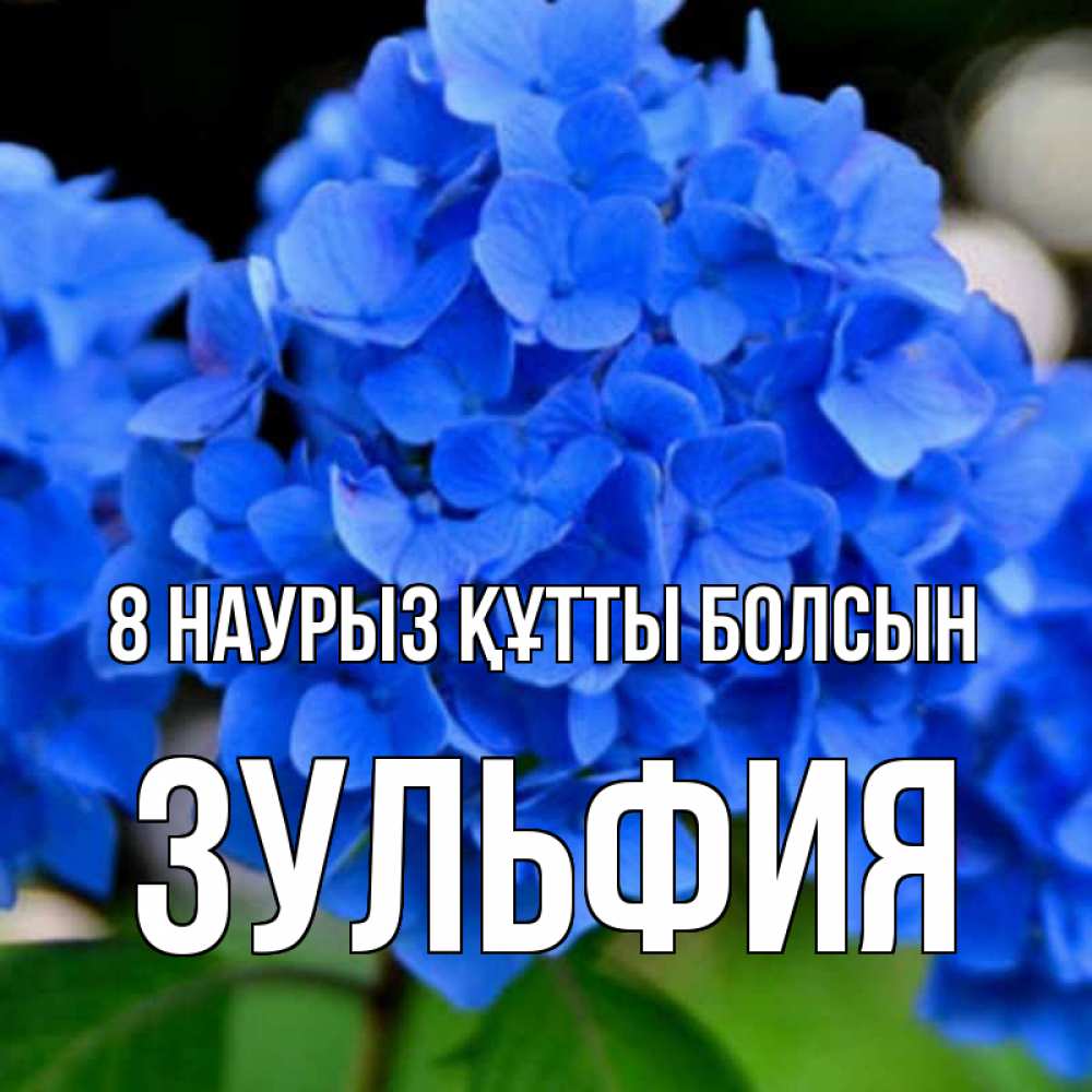 Күн сайын ашық хат с именем, Зульфия 8 наурыз құтты болсын синие цветы Онлайн тегін жүктеп алу тілектері бар керемет карта 