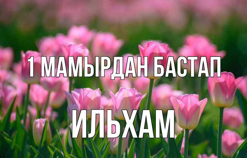 Күн сайын ашық хат с именем, Ильхам 1 мамырдан бастап С 1 мая Онлайн тегін жүктеп алу тілектері бар керемет карта 