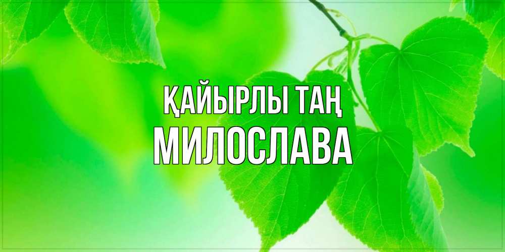 Күн сайын ашық хат с именем, Милослава Қайырлы таң доброе утро с березовыми листьями Онлайн тегін жүктеп алу тілектері бар керемет карта 