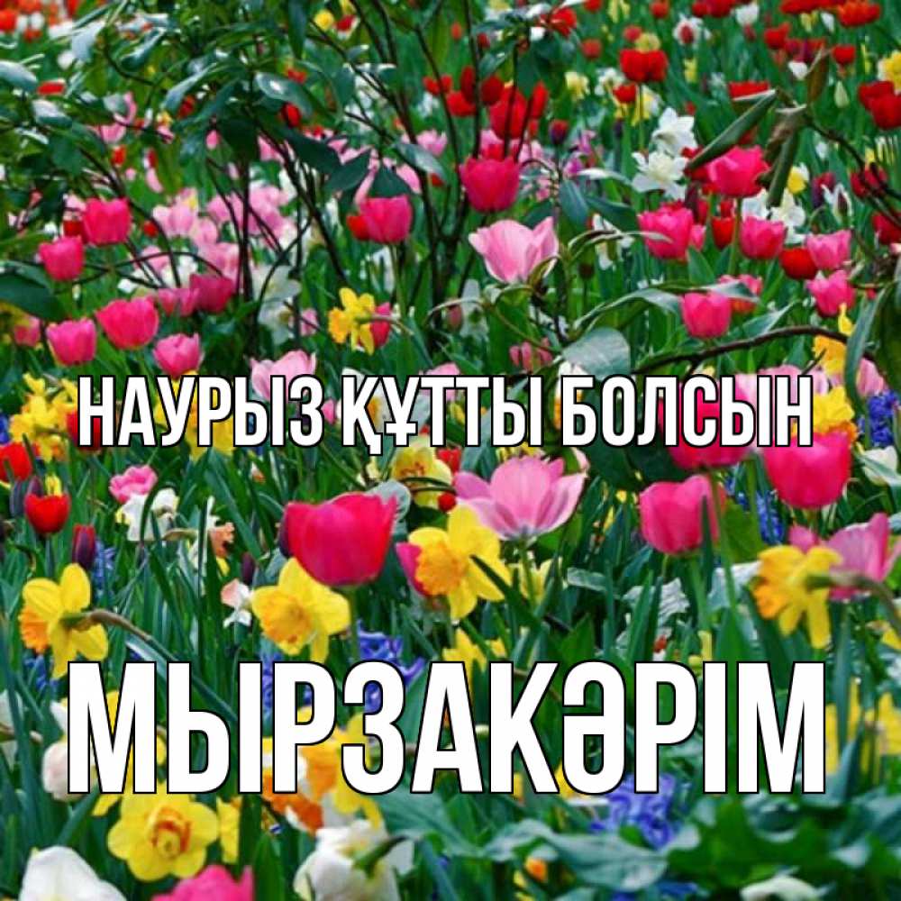 Күн сайын ашық хат с именем, Мырзакәрім Наурыз құтты болсын с наурызом поздравления для женщины Онлайн тегін жүктеп алу тілектері бар керемет карта 