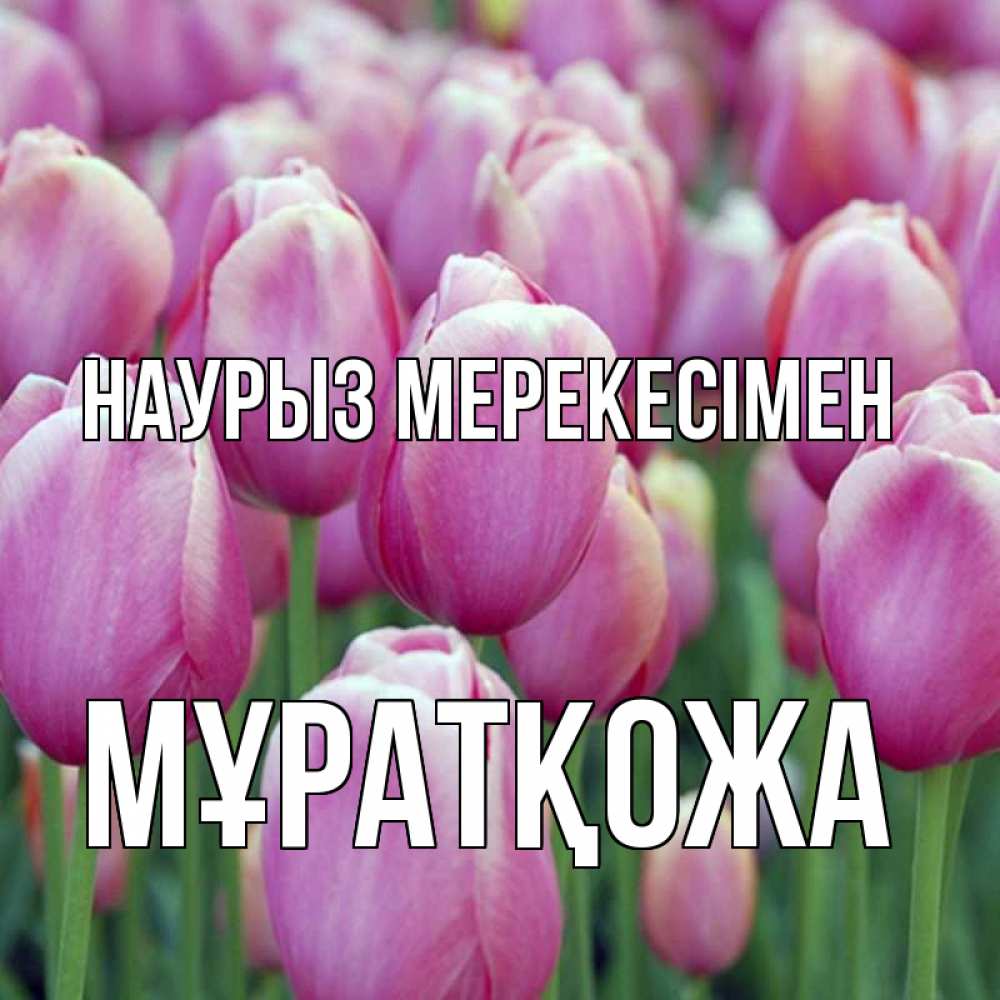 Күн сайын ашық хат с именем, Мұратқожа Наурыз мерекесімен праздник весны наурыз 69 Онлайн тегін жүктеп алу тілектері бар керемет карта 