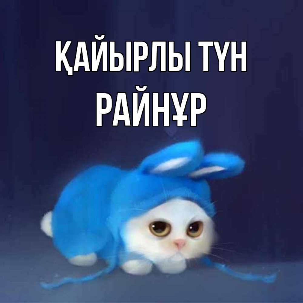 Күн сайын ашық хат с именем, РАЙНҰР Қайырлы түн кот в голубом костюме кролика с ушками Онлайн тегін жүктеп алу тілектері бар керемет карта 