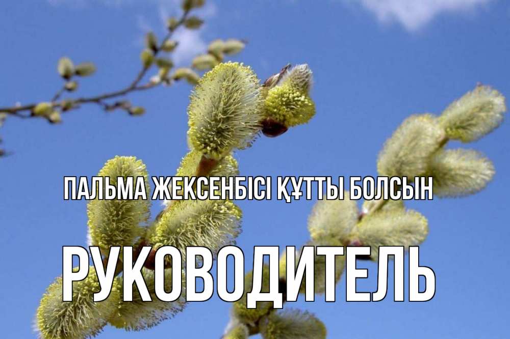 Күн сайын ашық хат с именем, Руководитель Пальма жексенбісі құтты болсын верба Онлайн тегін жүктеп алу тілектері бар керемет карта 