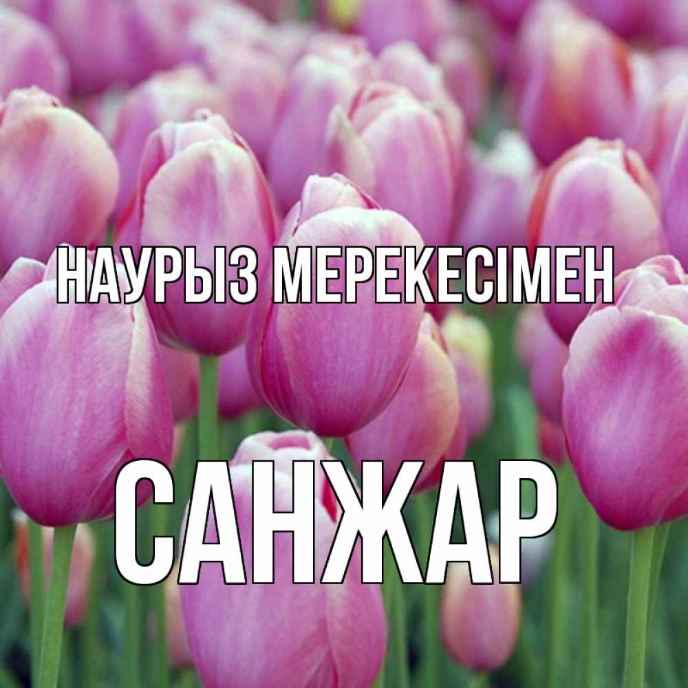 Күн сайын ашық хат с именем, САНЖАР Наурыз мерекесімен праздник весны наурыз 69 Онлайн тегін жүктеп алу тілектері бар керемет карта 
