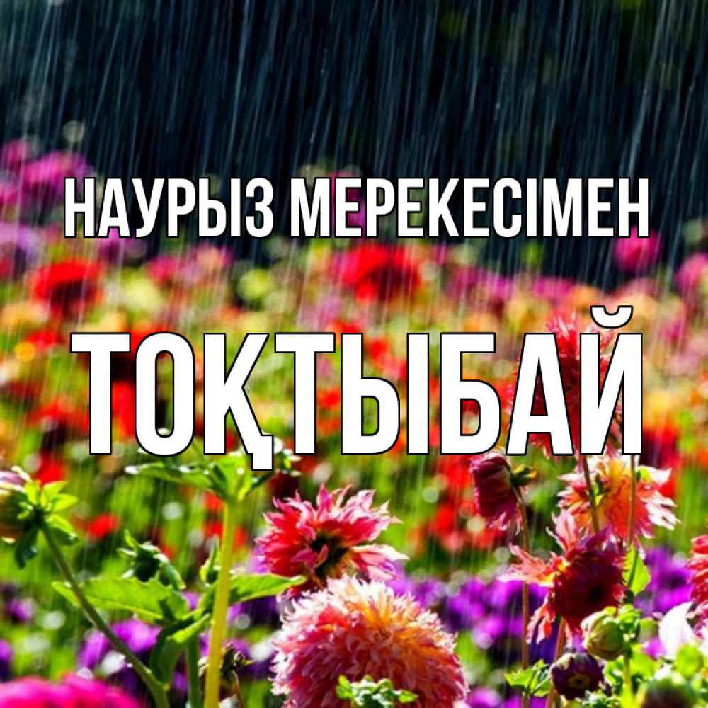 Күн сайын ашық хат с именем, ТОҚТЫБАЙ Наурыз мерекесімен цветы под дождиком к международному женскому дню Онлайн тегін жүктеп алу тілектері бар керемет карта 