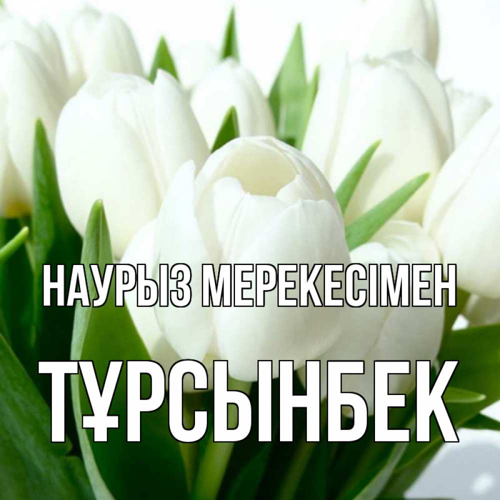Күн сайын ашық хат с именем, ТҰРСЫНБЕК Наурыз мерекесімен цветы Онлайн тегін жүктеп алу тілектері бар керемет карта 