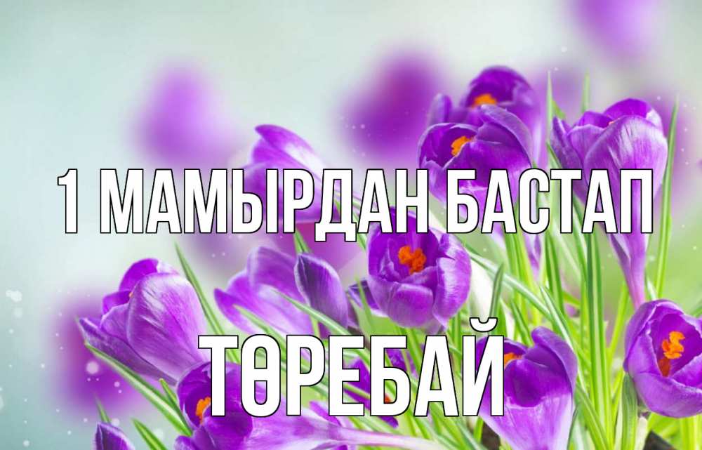Күн сайын ашық хат с именем, Төребай 1 мамырдан бастап 1 мая Онлайн тегін жүктеп алу тілектері бар керемет карта 